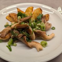 Gebratene Austernpilze mit Frühlingszwiebeln