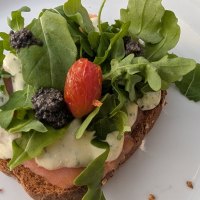 Lachsbrot mit Rucola