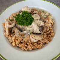 Putenrahmgeschnetzeltes mit Champignons