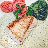 Rotbarsch auf Sonnenblumenkern-Sauce
